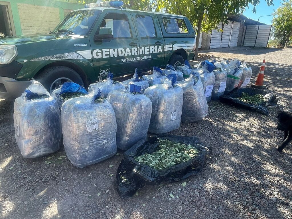 370 Kg de Hojas de coca