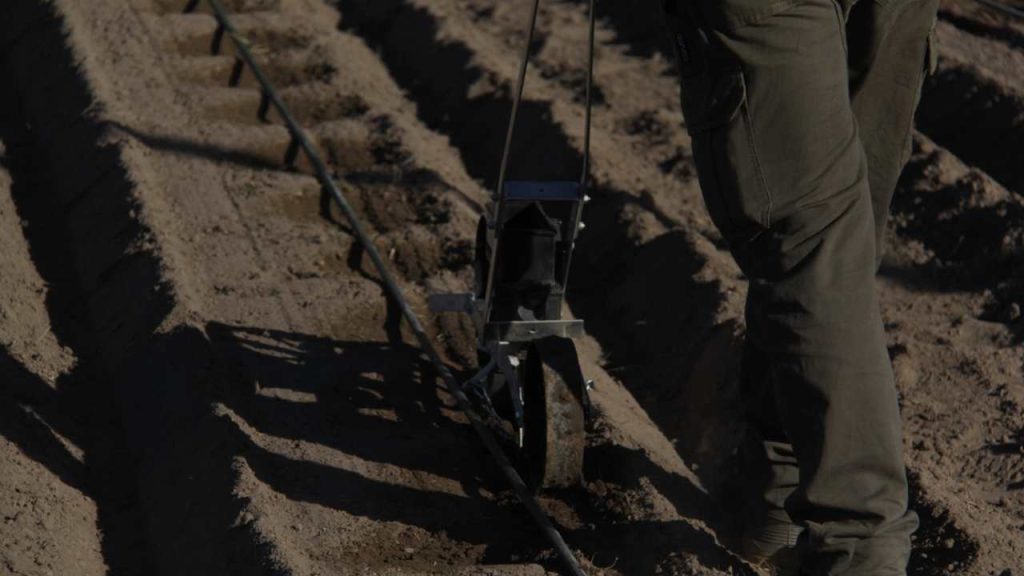 cultivos invernales en Finca Modelo Faraón