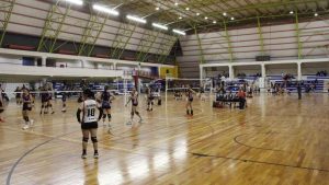 Liga de Vóley