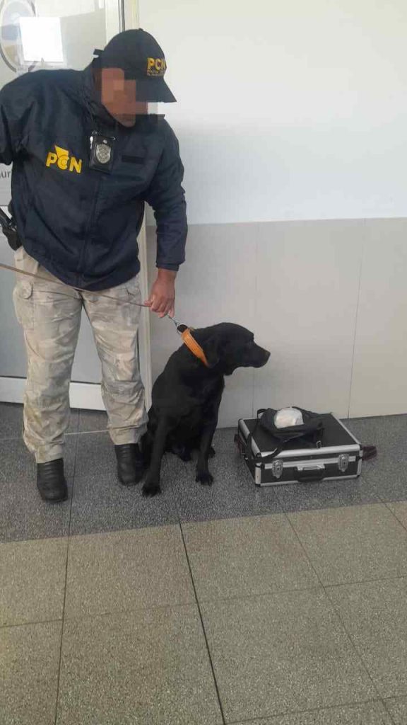 perro de la Policía de Mendoza