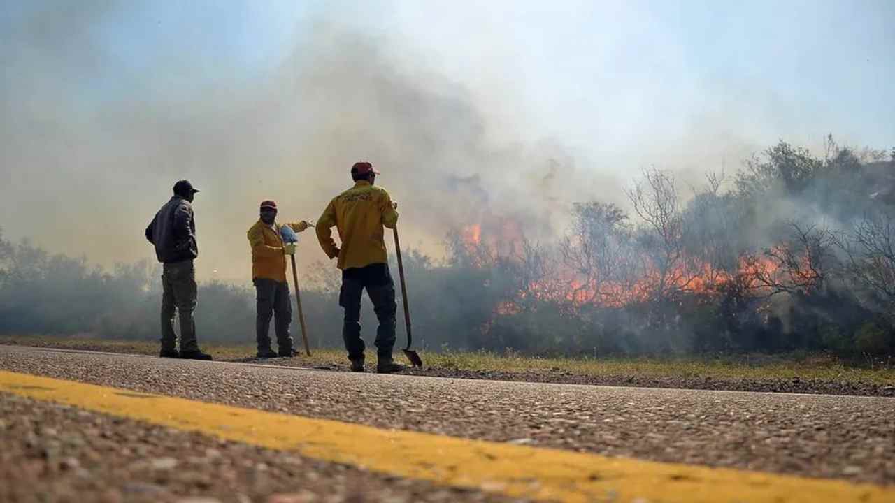 Incendios forestales en San Rafael