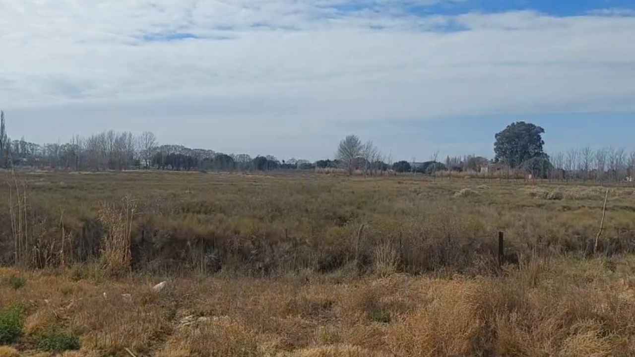Desmienten toma terrenos en General Alvear