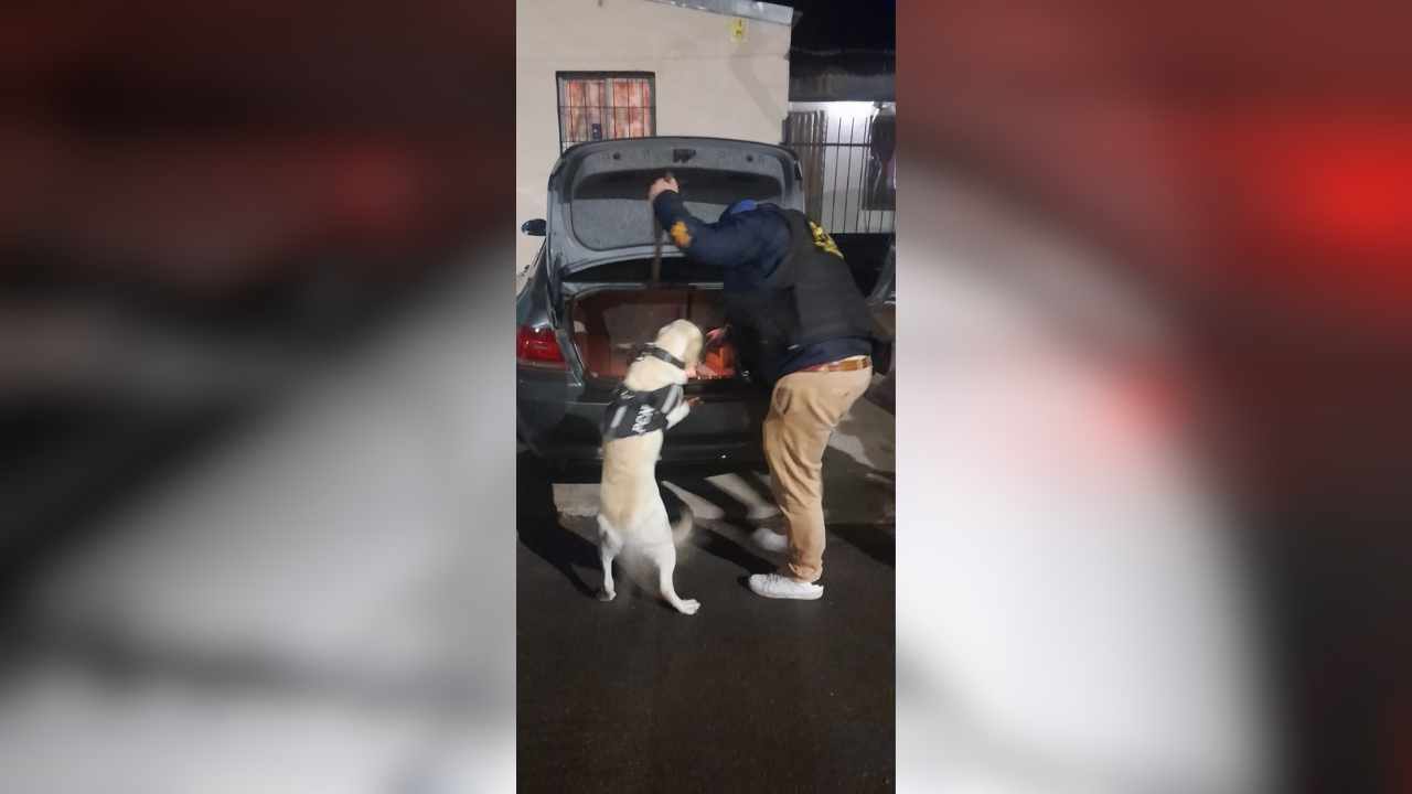 Pareja detenida en General Alvear con droga