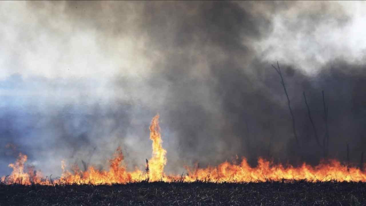 Balance de Incendios en Mendoza