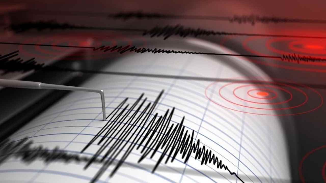 Temblor cerca de Potrerillos