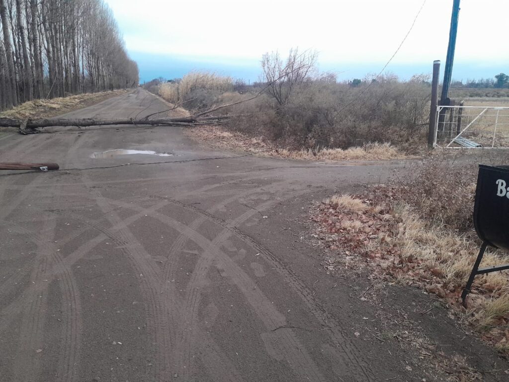 Temporal en General Alvear