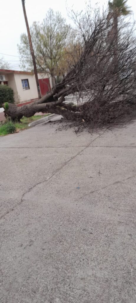 Temporal en General Alvear