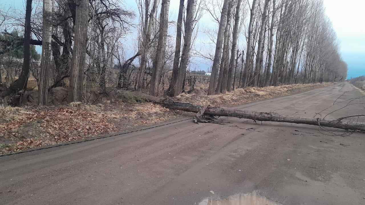 Temporal en General Alvear