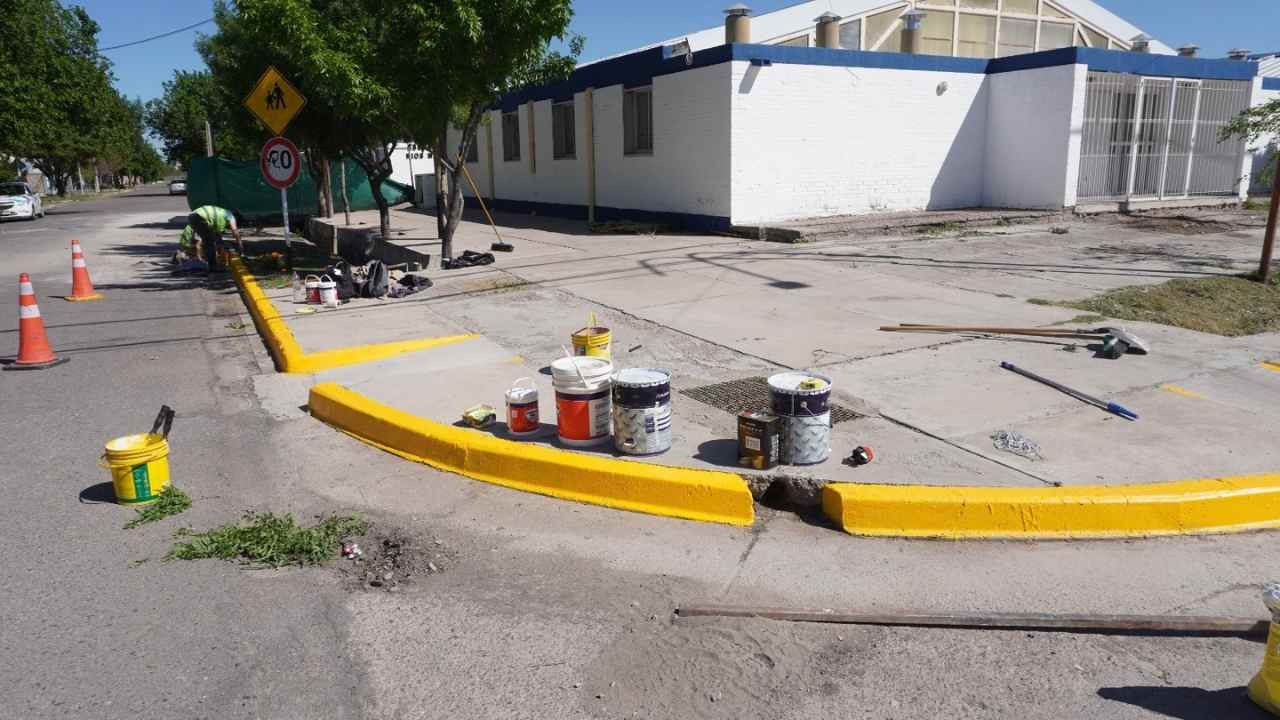 Limpieza y mantenimiento en Barrio Irrigacion