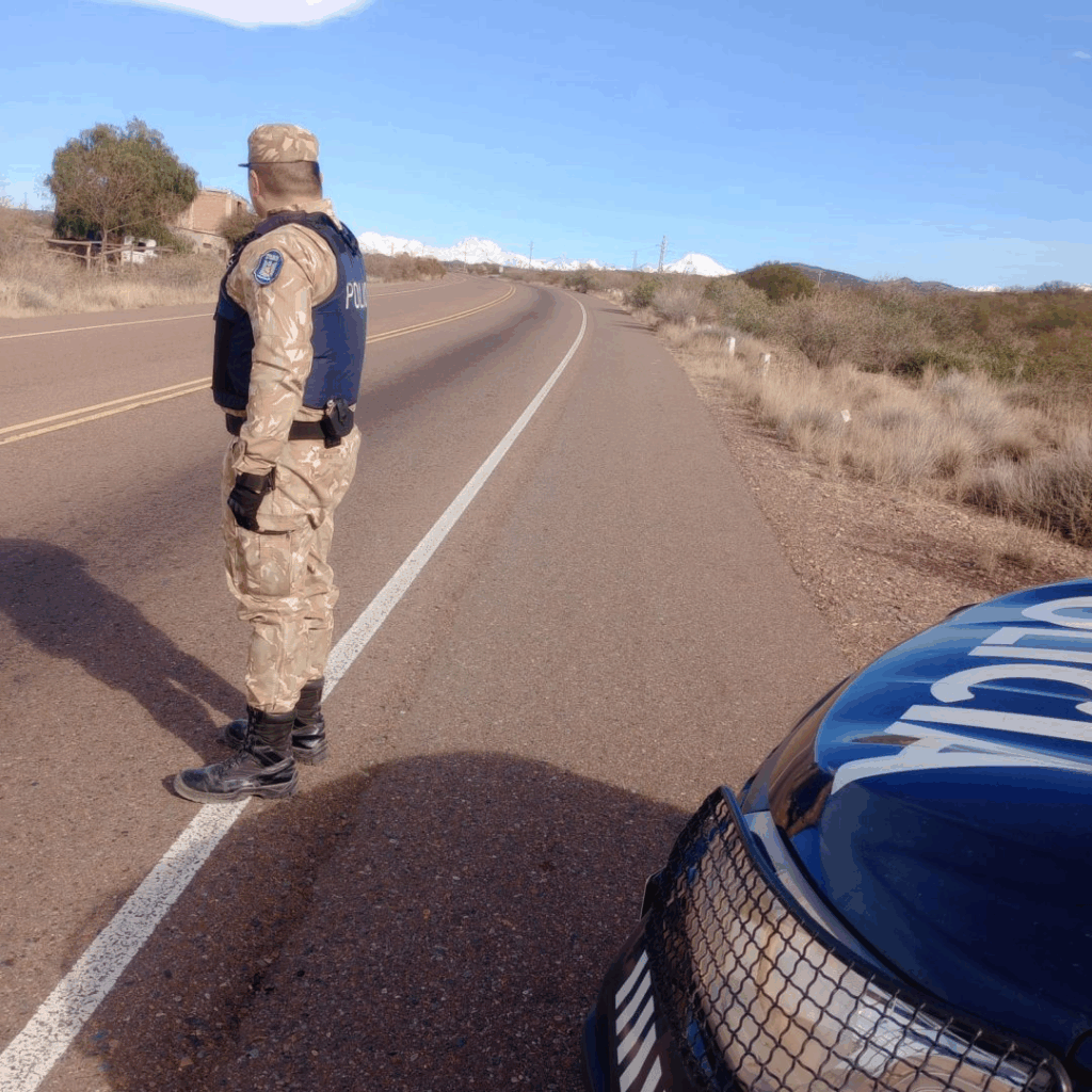 Secuestro de Terneros sin Marca
