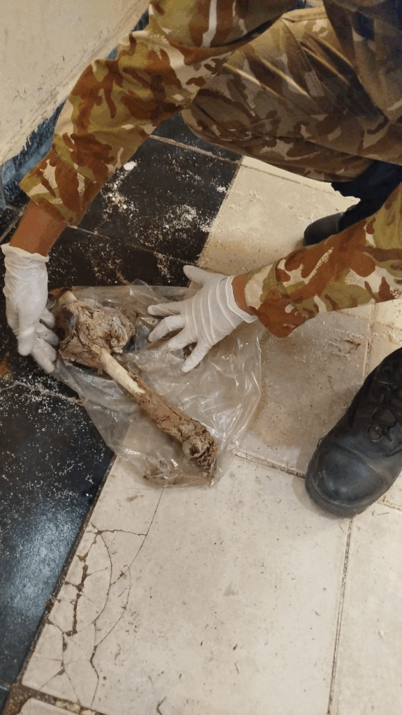 Caza Furtiva en Monte Comán