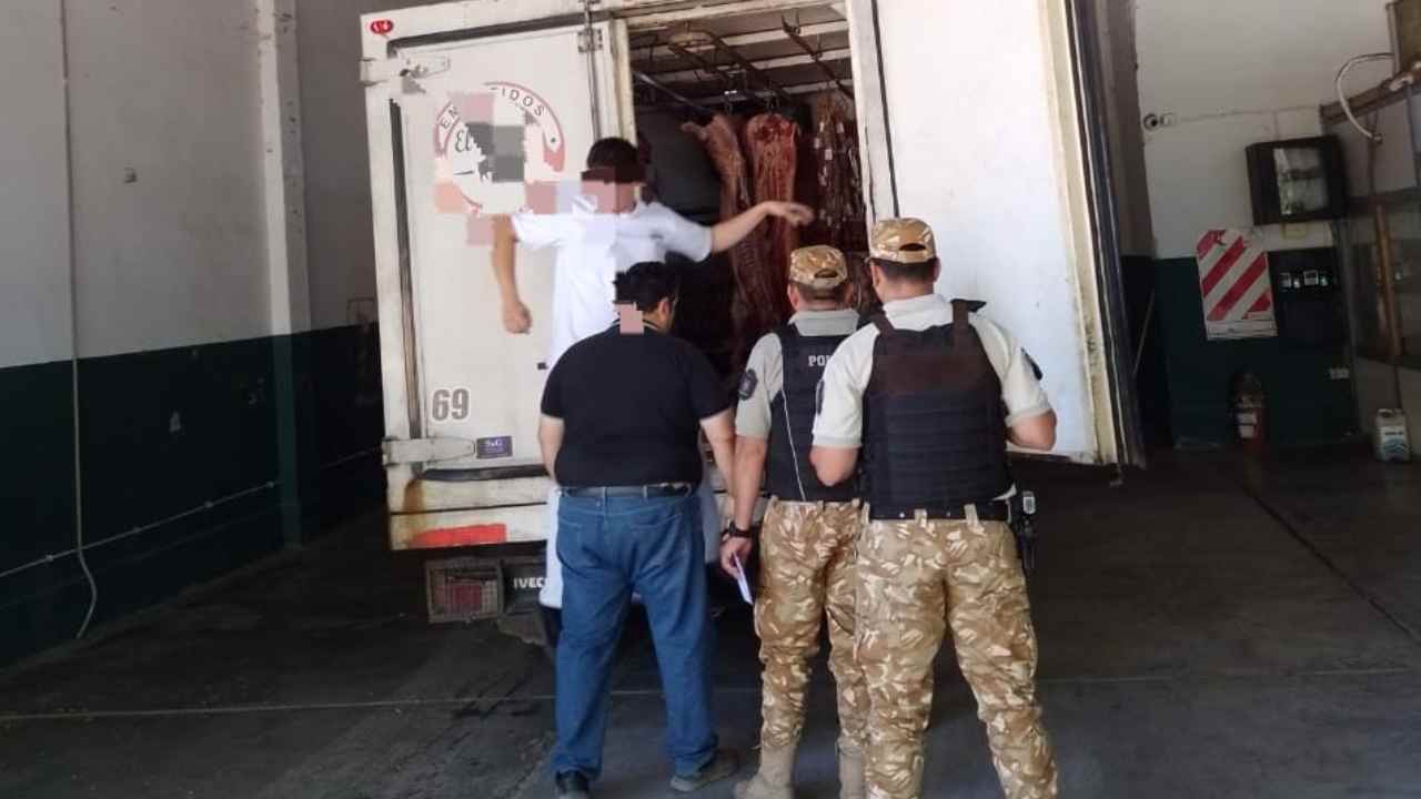 Decomisan más de 150 kilos de carne