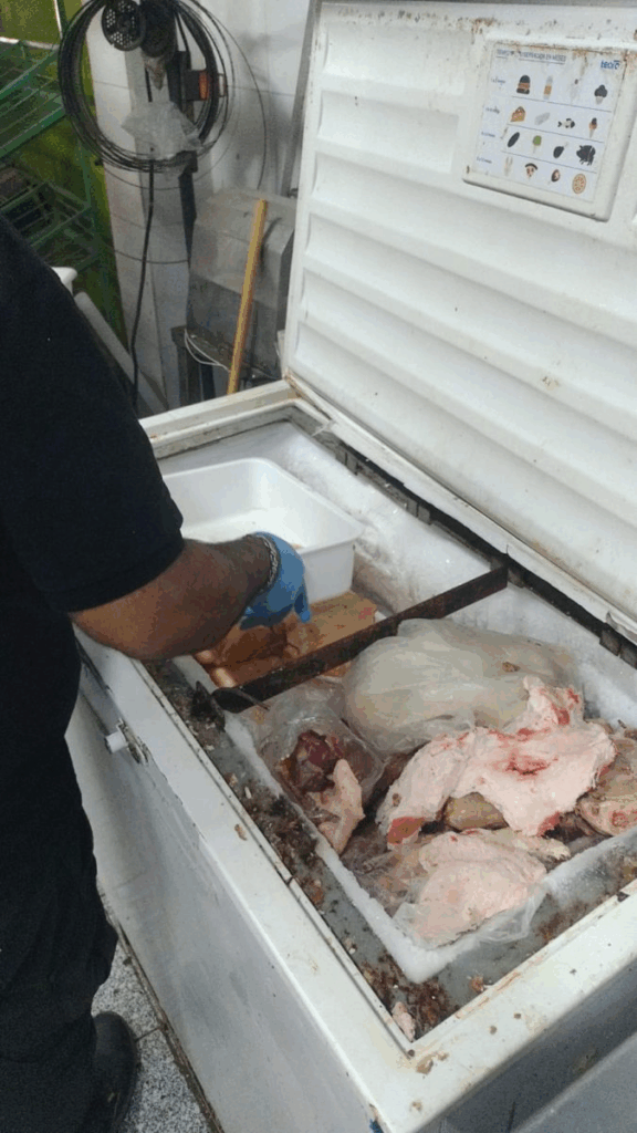 Decomisan más de 150 kilos de carne