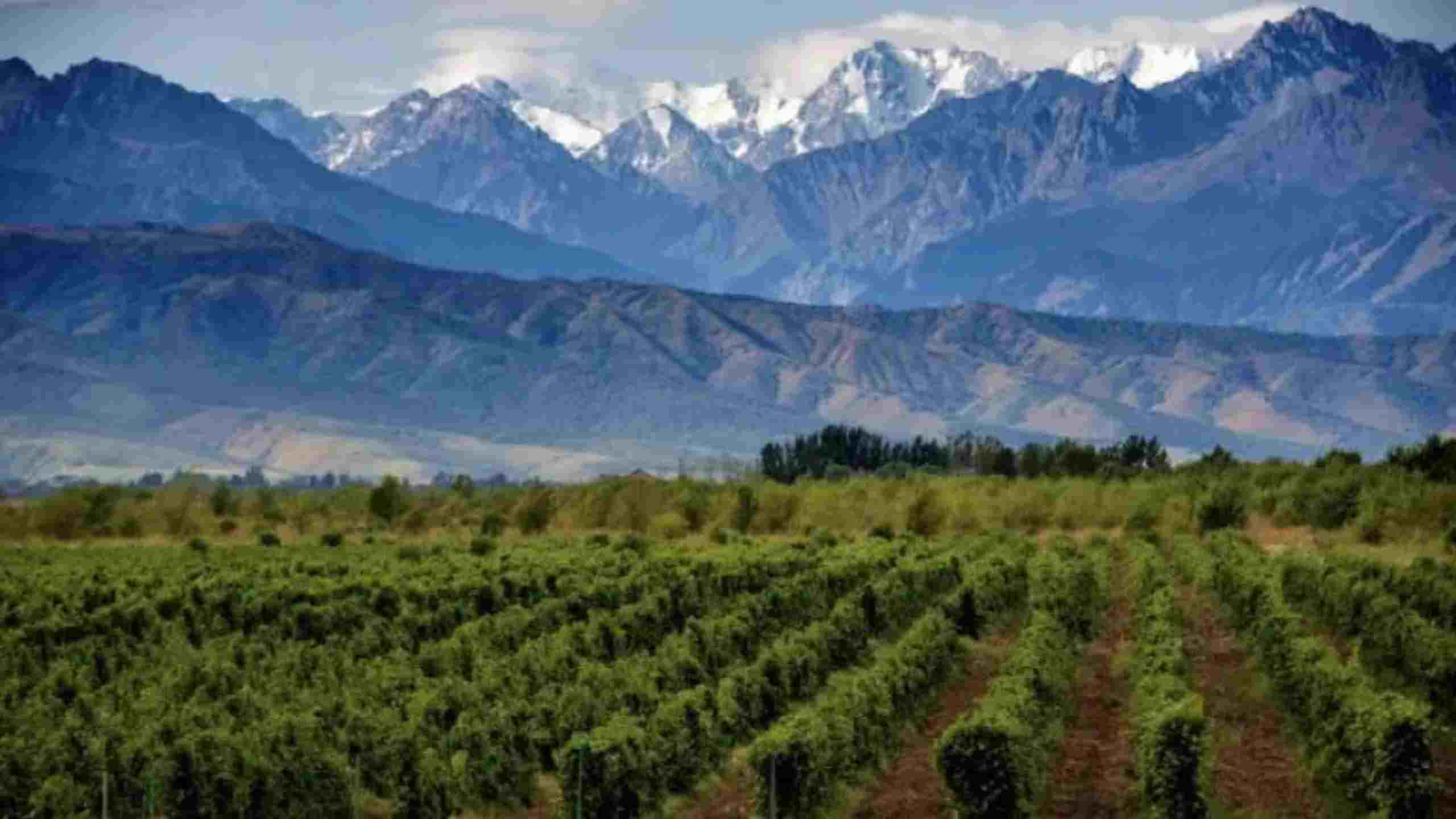 Turismo Mendoza Año Nuevo