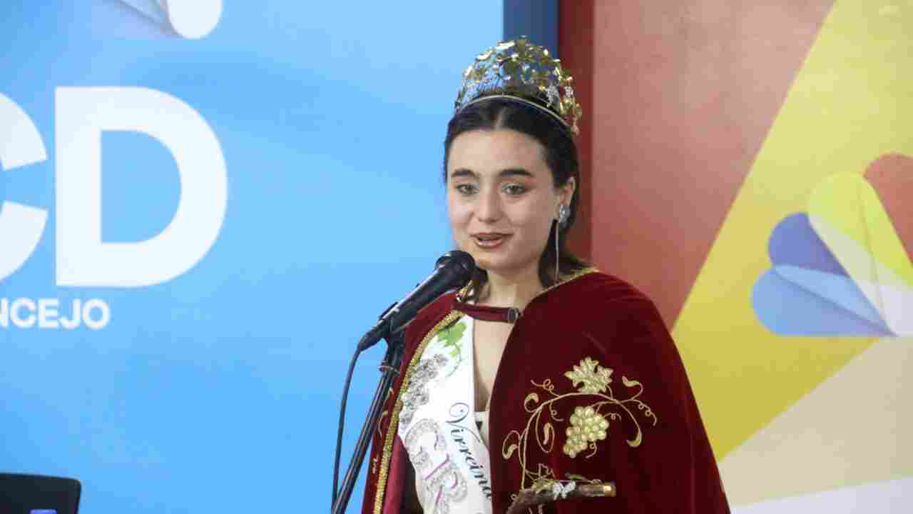 Proyectos de candidatas a reina departamental