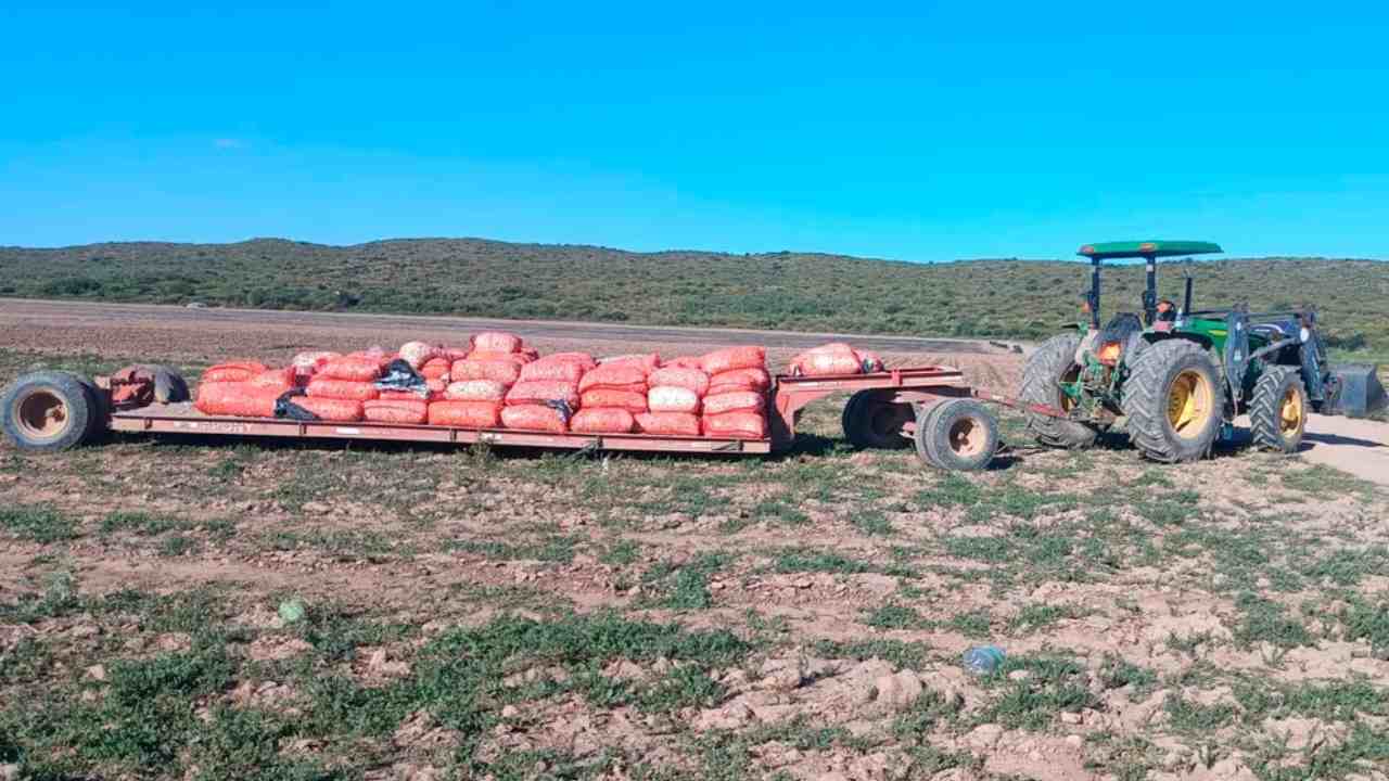 Accidente fatal San Rafael muere trabajador golondrina