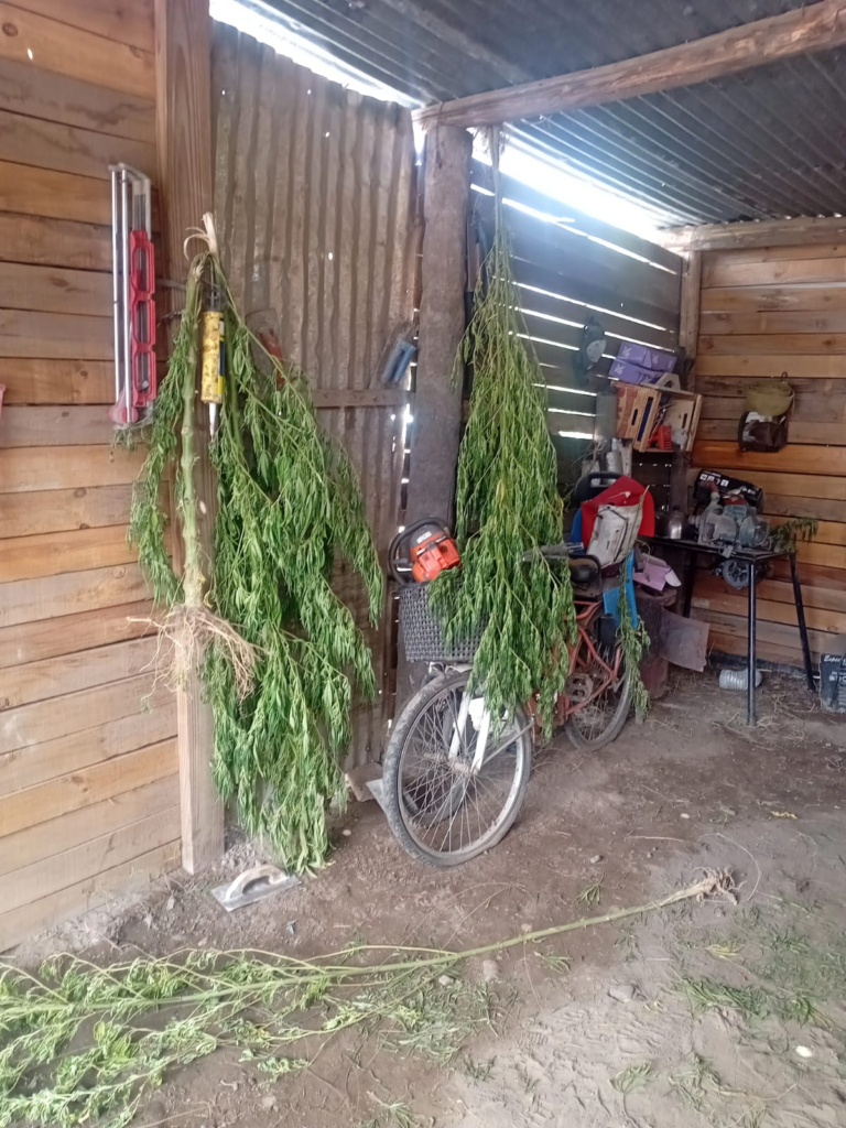 Allanamientos General Alvear