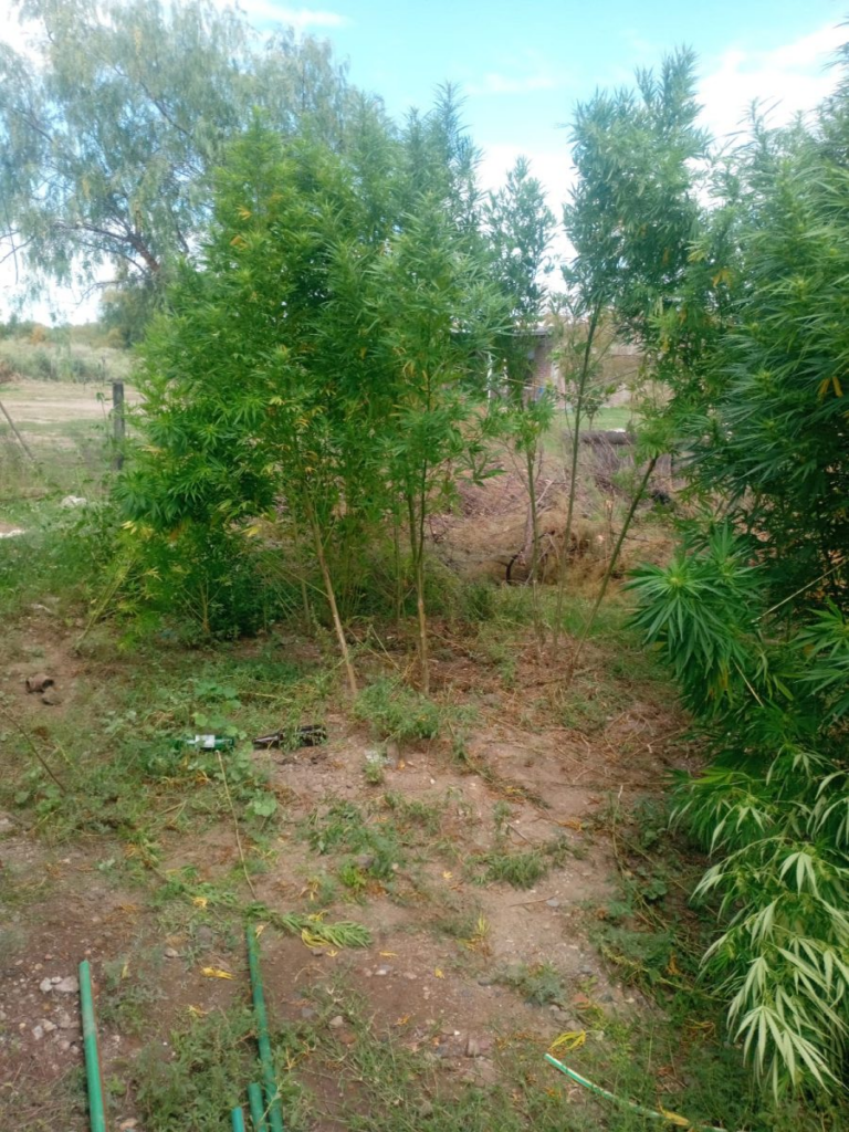 Allanamientos General Alvear