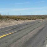 Camioneta impactó contra una vaca suelta en la ruta