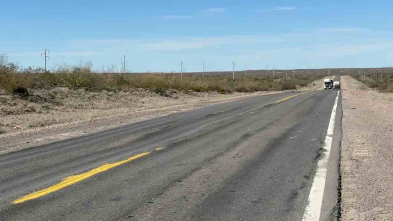 Camioneta impactó contra una vaca suelta en la ruta