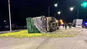 Vuelco camión Ruta 188 General Alvear