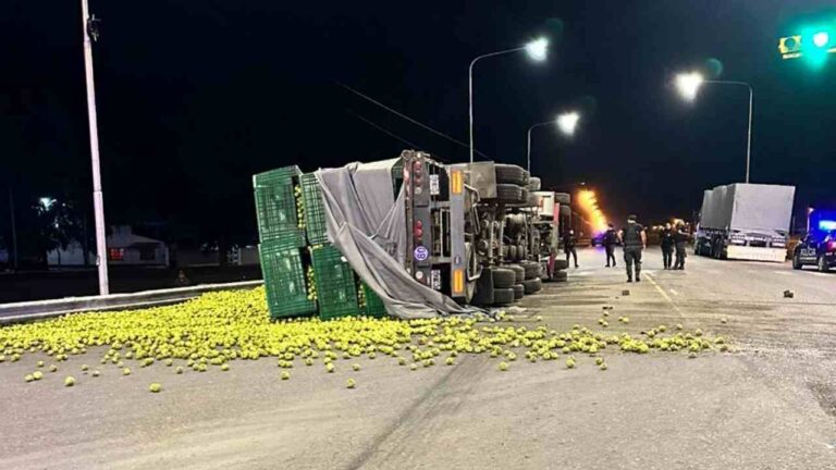 Vuelco camión Ruta 188 General Alvear