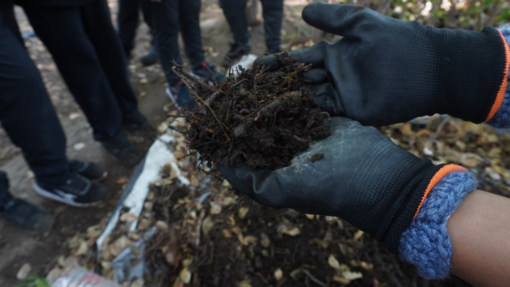 Educación ambiental en escuelas primarias