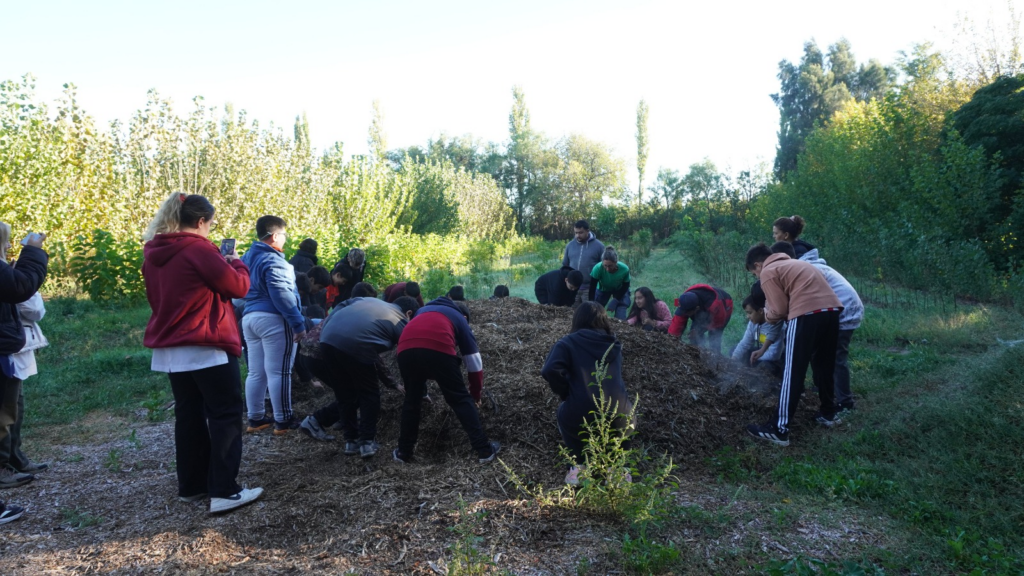 Educación ambiental en escuelas primarias