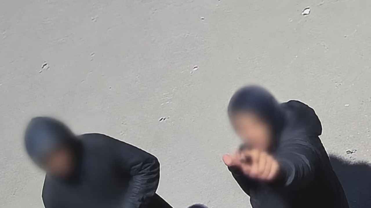 aprehendidos por daño a cámaras Alvear