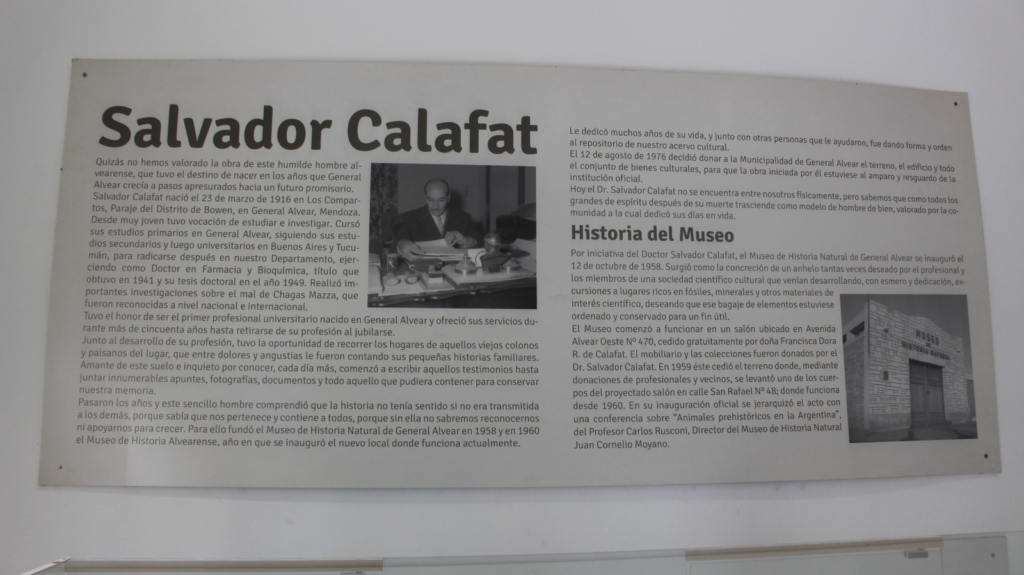 50 aniversario Museo Salvador Calafat