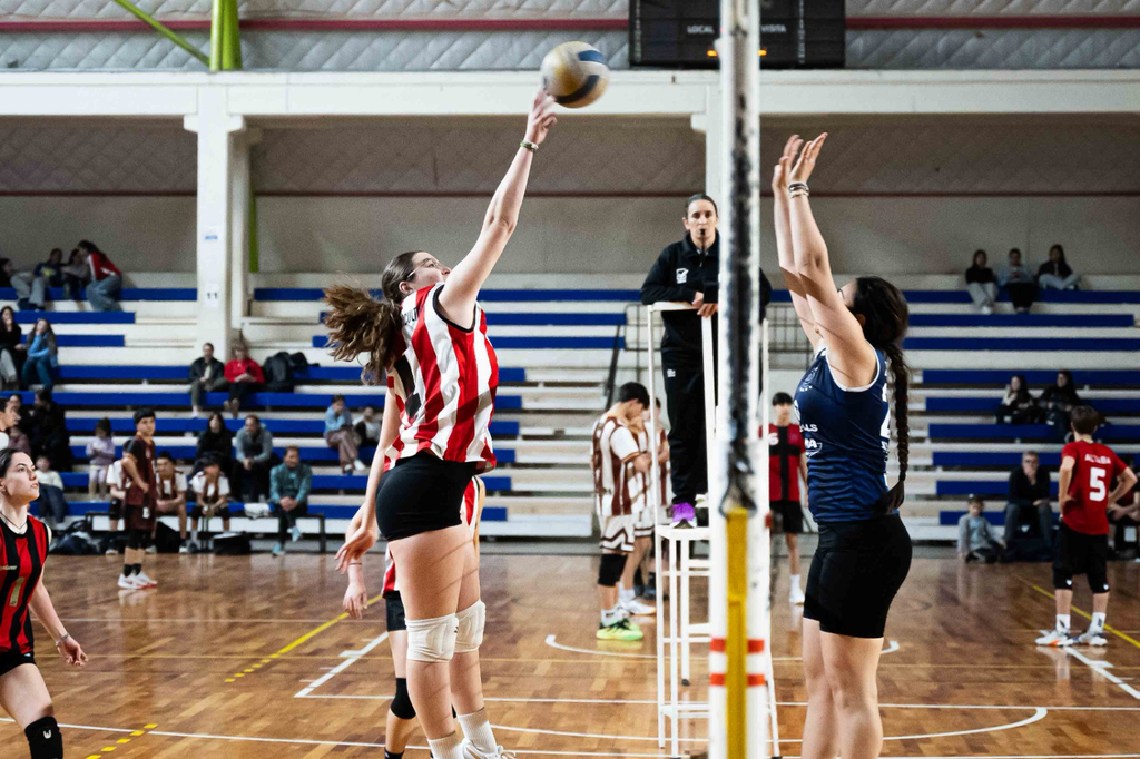 Liga Alvearense de Vóley
