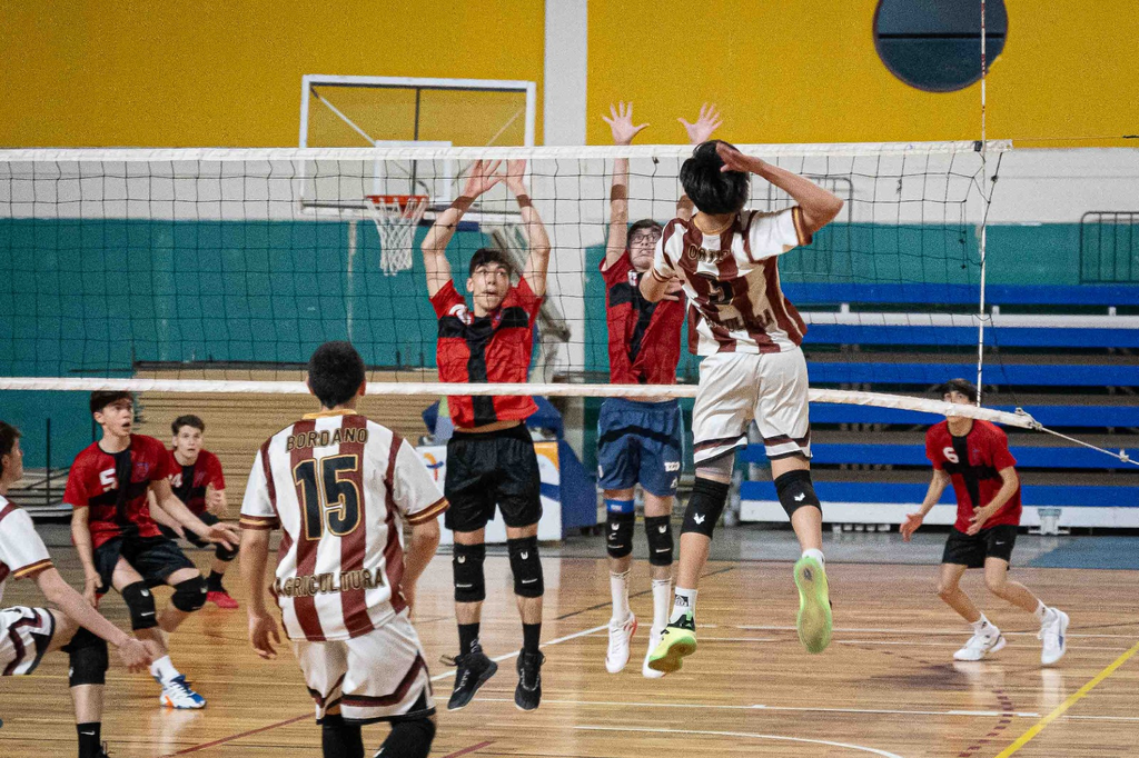 Liga Alvearense de Vóley
