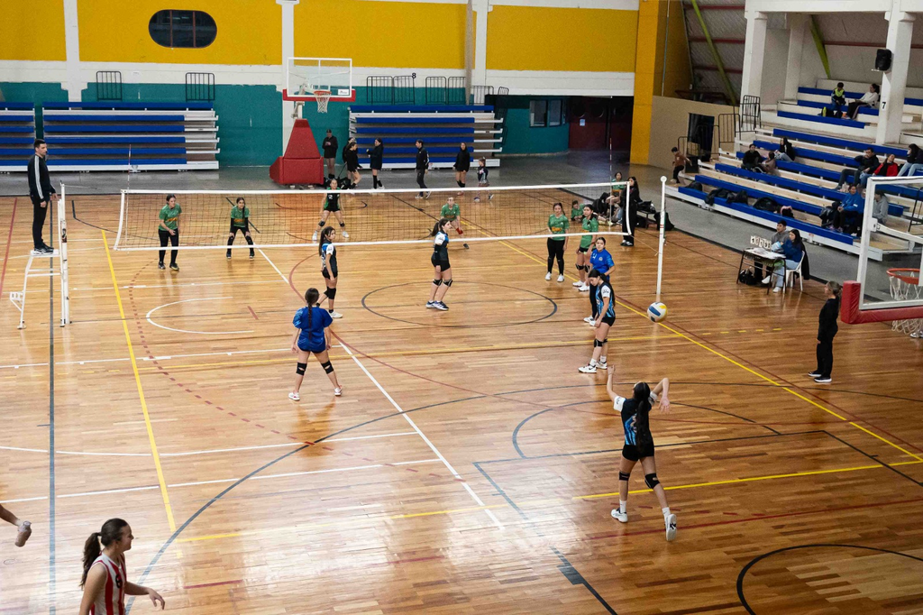 Liga Alvearense de Vóley