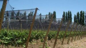 Créditos malla antigranizo General Alvear