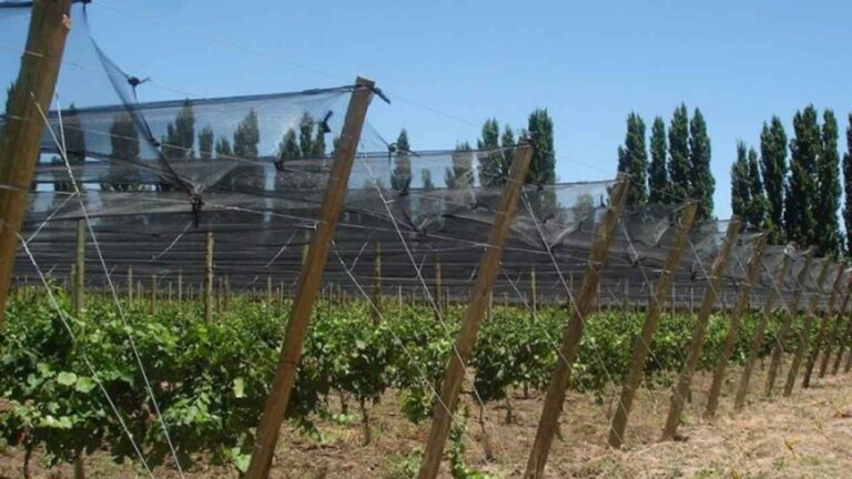 Créditos malla antigranizo General Alvear