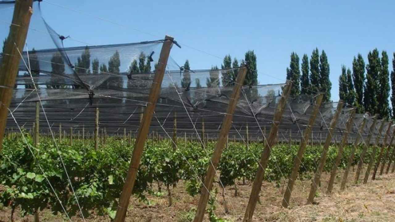 Créditos malla antigranizo General Alvear