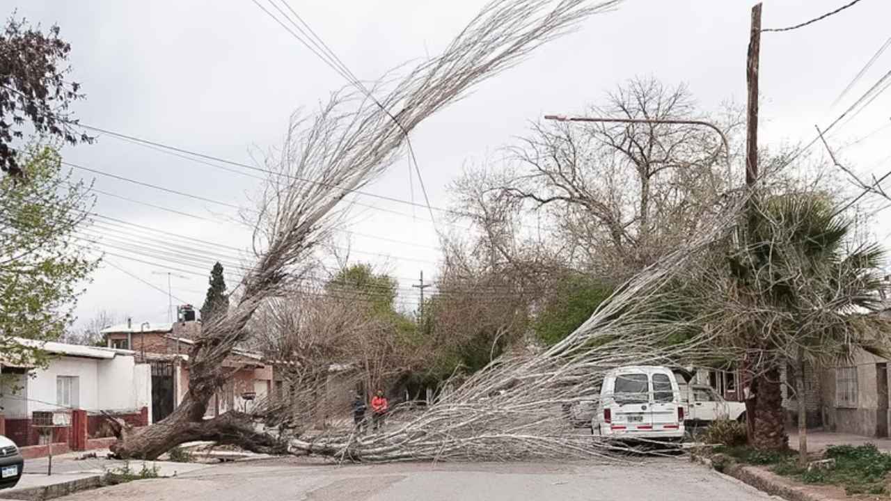 Viento Zonda en Mendoza