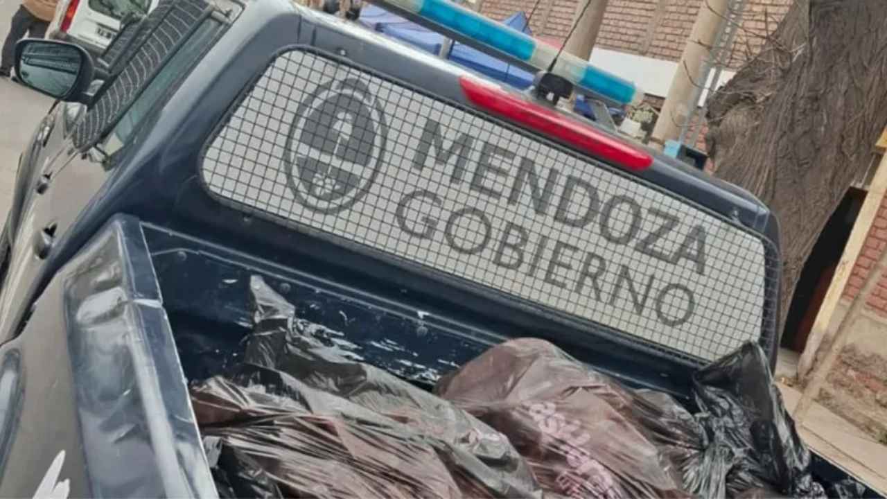 El golpe al abigeato en Mendoza dejó 20 detenidos por robo de ganado y faena clandestina tras allanamientos en Uspallata y carnicerías de Las Heras.