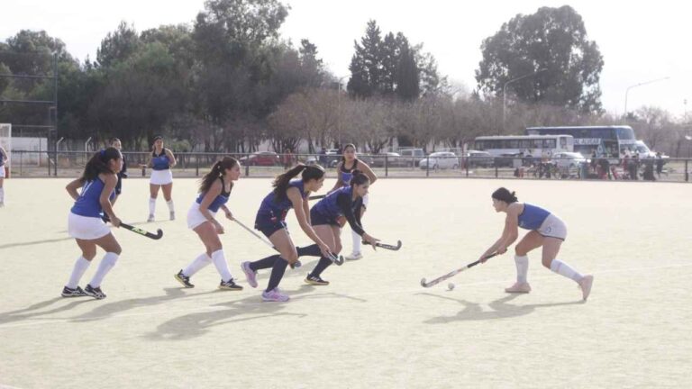 liga alvearense de hockey